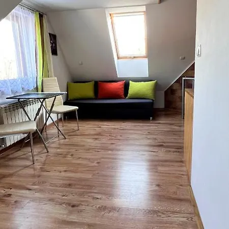 U Reni - 5 Minut Do Krupowek - Widok Na Gory Zakopane