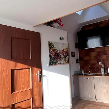 U Reni - 5 Minut Do Krupowek - Widok Na Gory Homestay szállás Zakopane