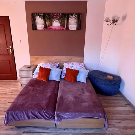 U Reni - 5 Minut Do Krupowek - Widok Na Gory * Zakopane